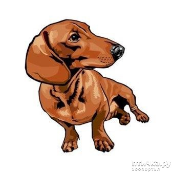 ���� 13: ����� ������