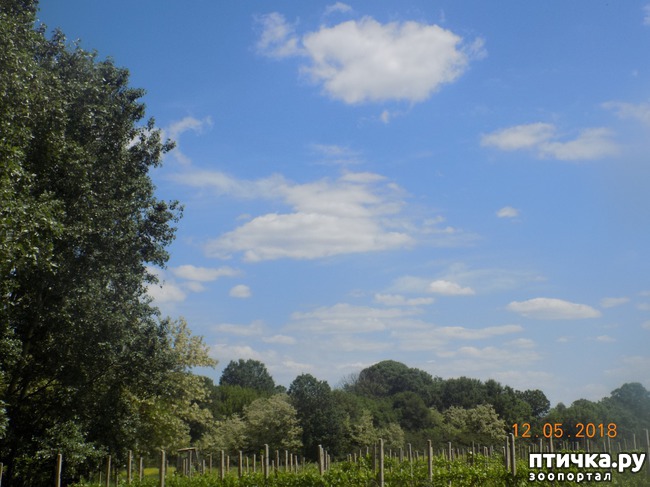 ���� 2: ����� ������