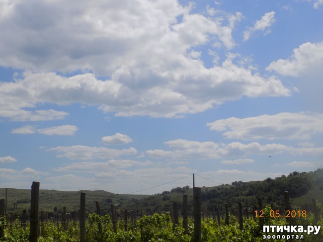 ���� 3: ����� ������