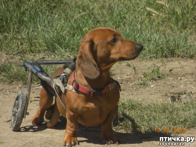 ���� 6: ����� ������