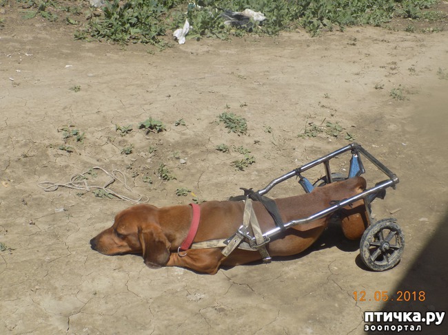 ���� 7: ����� ������