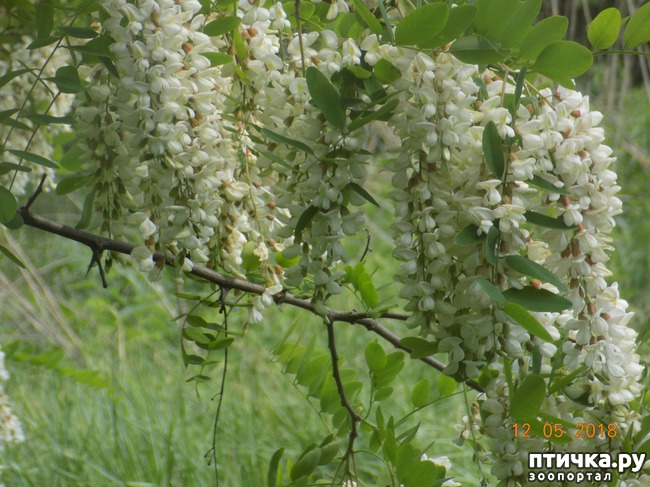 ���� 4: ����� ������