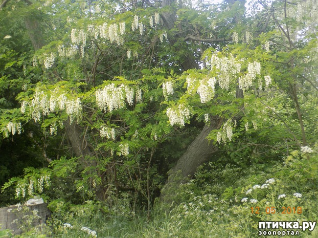 ���� 5: ����� ������