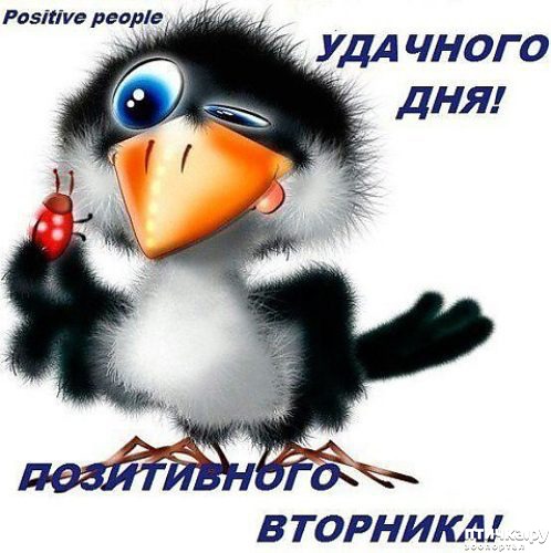 ���� 1: �������... (�������� ���������). ������ ����������.