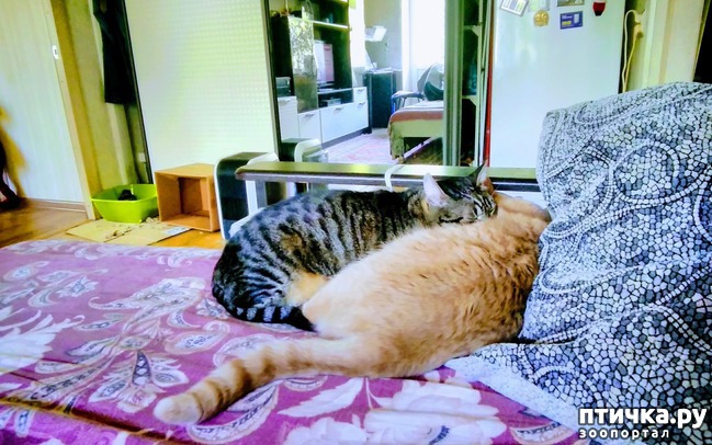 ���� 1: ������