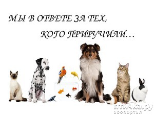 ����: ����� ������ ������, ��� ������������ � ���� ������������