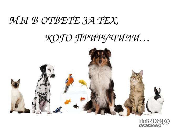 ���� 1: ����� ������ ������, ��� ������������ � ���� ������������