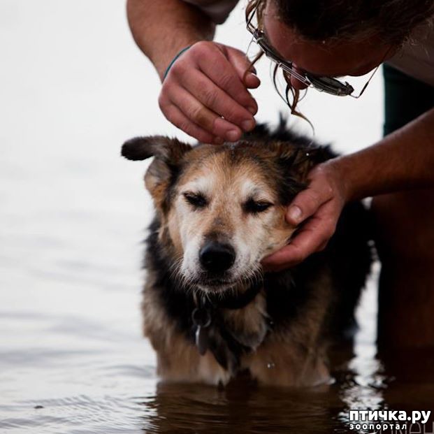 ���� 2: ����� ������ ������, ��� ������������ � ���� ������������