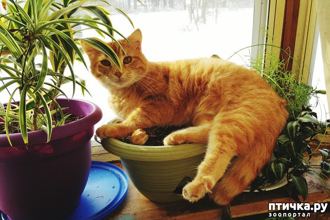 ���� 3: ������ ����� �������� �������� - �� ����������