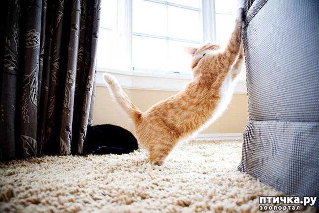 ���� 4: ������ ����� �������� �������� - �� ����������