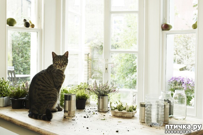 ���� 6: ������ ����� �������� �������� - �� ����������