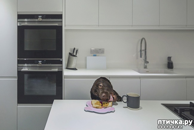 ���� 7: ������ ����� �������� �������� - �� ����������