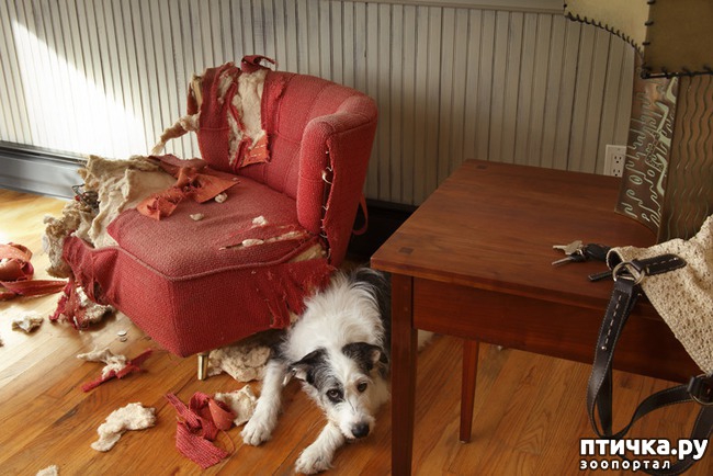 ���� 9: ������ ����� �������� �������� - �� ����������