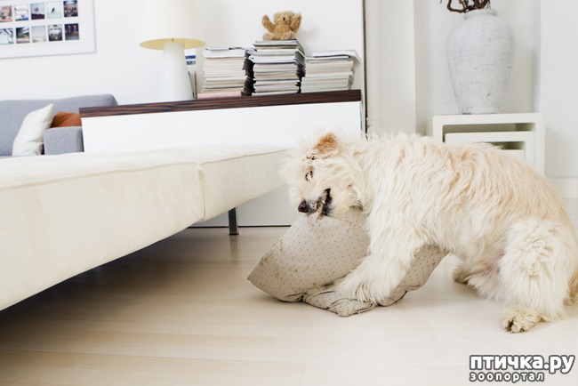 ���� 10: ������ ����� �������� �������� - �� ����������