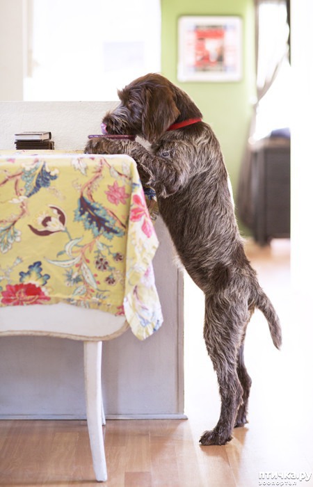 ���� 12: ������ ����� �������� �������� - �� ����������