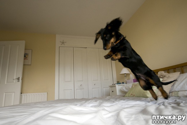 ���� 13: ������ ����� �������� �������� - �� ����������