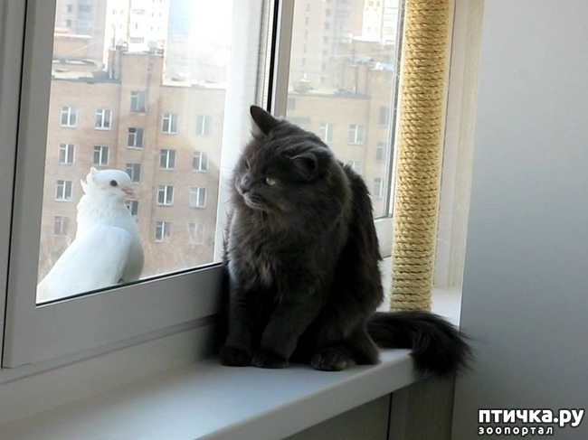 ���� 10: ������� �������