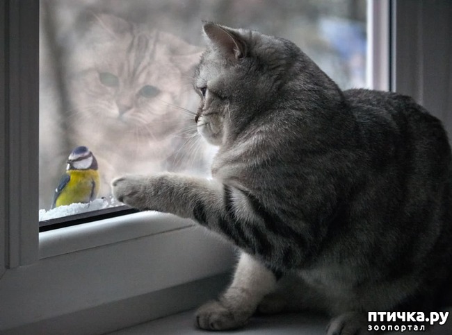 ���� 14: ������� �������