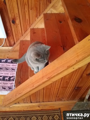 ����: �������� ������