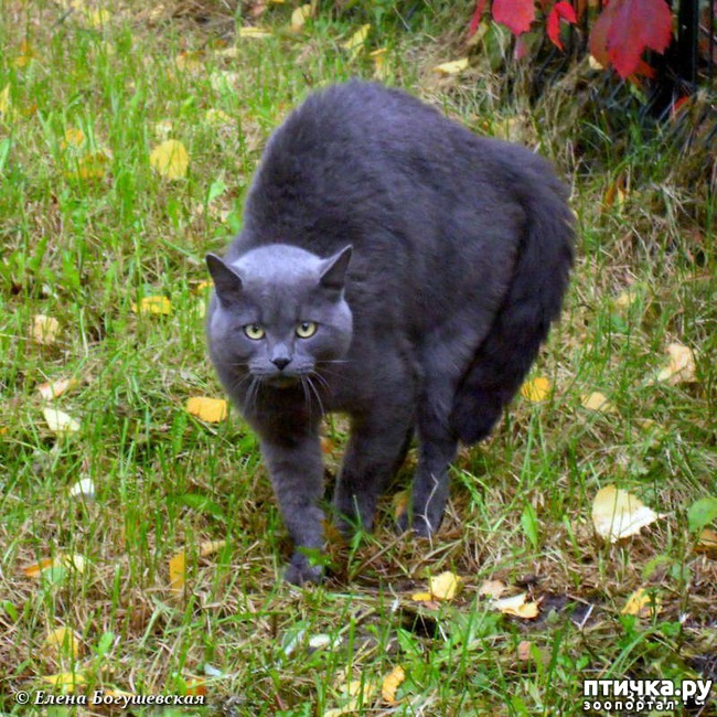 ���� 1: ������� �������