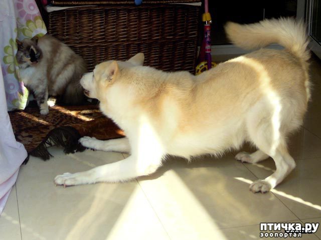 ���� 2: ������� �������