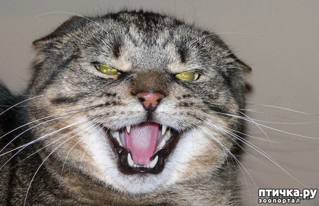 ���� 4: ������� �������