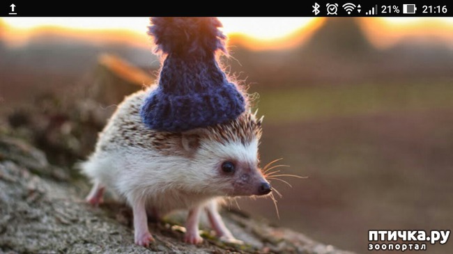 ���� 1: �������� �������.