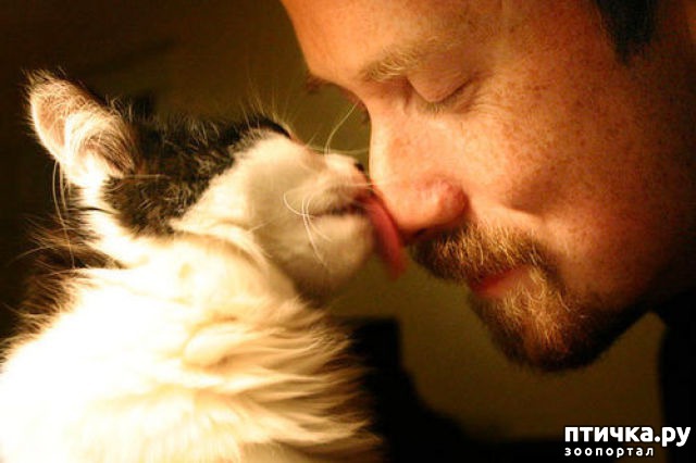 ���� 6: � �������� ��������� �����������