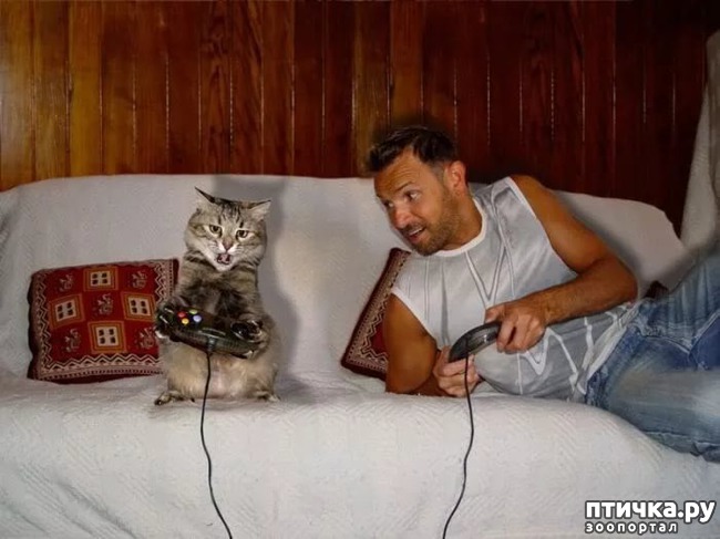 ���� 4: � �������� ��������� �����������