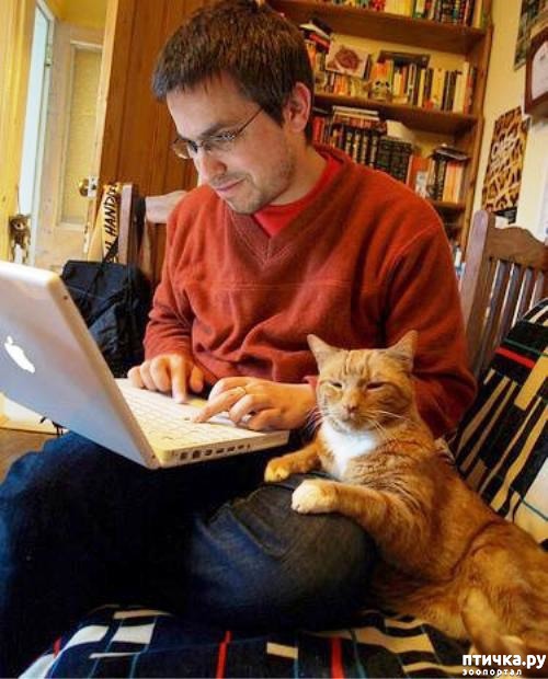 ���� 5: � �������� ��������� �����������