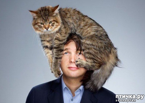 ���� 3: � �������� ��������� �����������