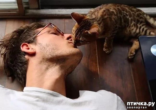 ���� 8: � �������� ��������� �����������