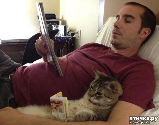 ���� 9: � �������� ��������� �����������