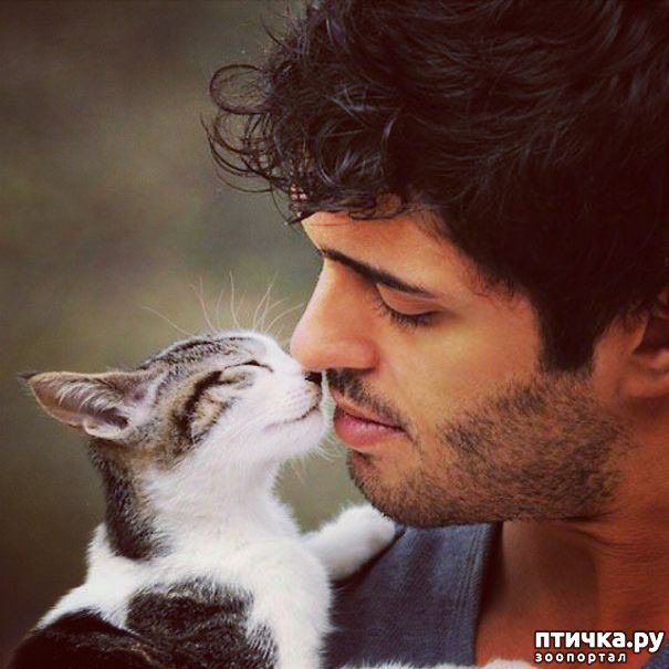 ���� 12: � �������� ��������� �����������