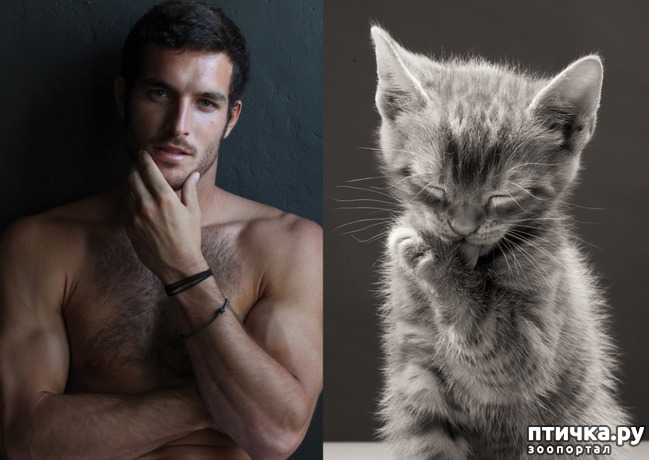 ���� 13: � �������� ��������� �����������