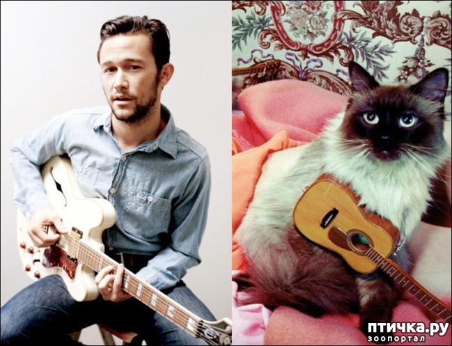 ���� 11: � �������� ��������� �����������