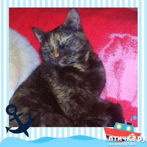 ����: ����� � ���!!!