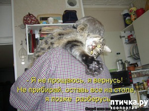 ����: ��������� �����������: ������ �������!