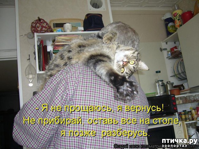 ���� 1: ��������� �����������: ������ �������!