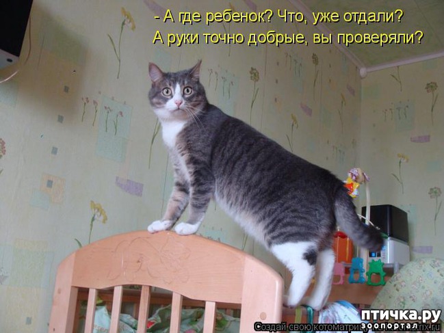 ���� 2: ��������� �����������: ������ �������!