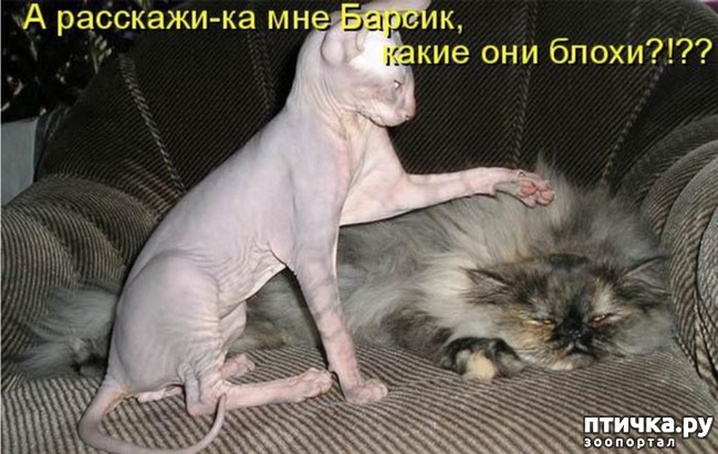 ���� 5: ��������� �����������: ������ �������!