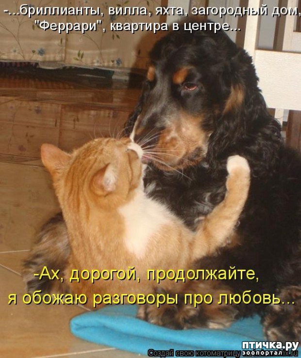 ���� 6: ��������� �����������: ������ �������!