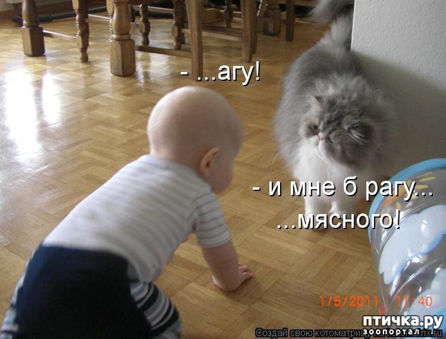 ���� 7: ��������� �����������: ������ �������!