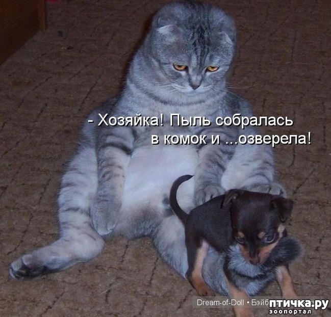 ���� 10: ��������� �����������: ������ �������!