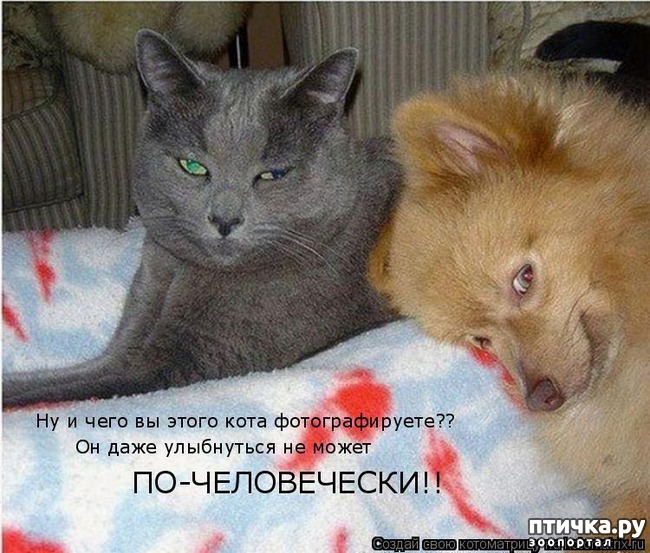 ���� 11: ��������� �����������: ������ �������!