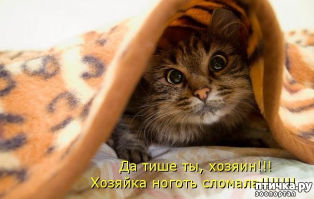 ���� 13: ��������� �����������: ������ �������!