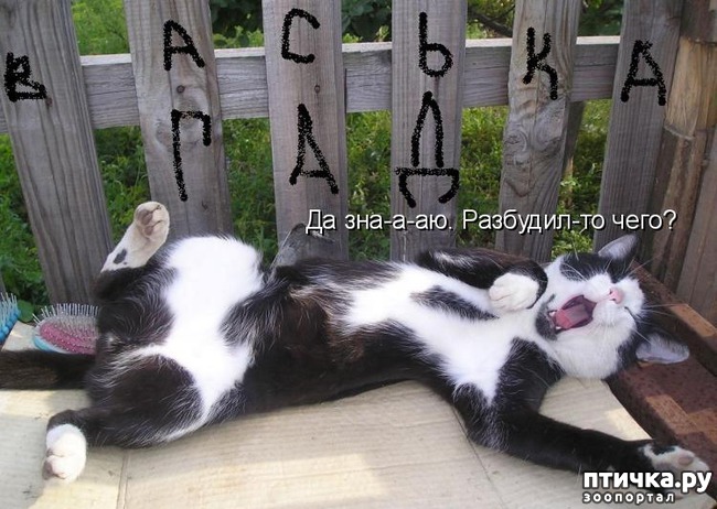 ���� 14: ��������� �����������: ������ �������!