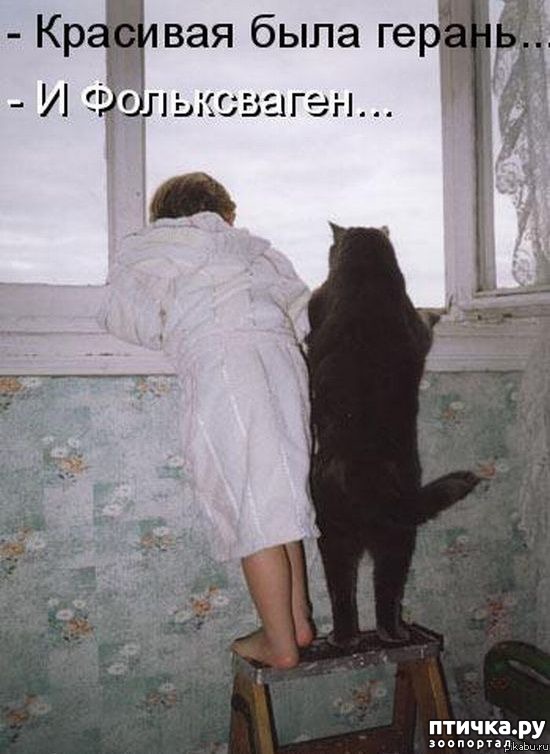 ���� 15: ��������� �����������: ������ �������!