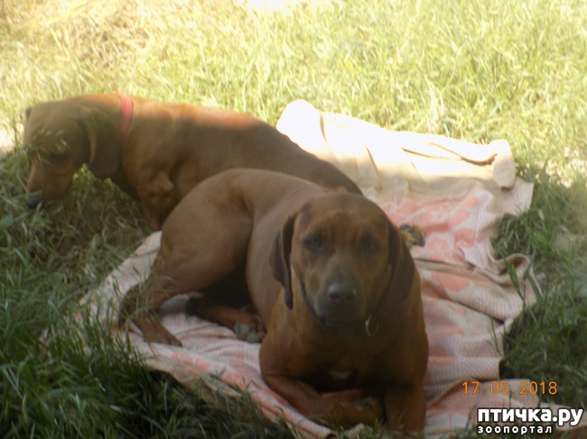 ���� 9: �������� � ����� �������