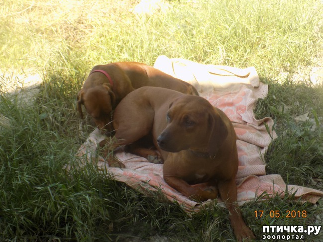 ���� 10: �������� � ����� �������